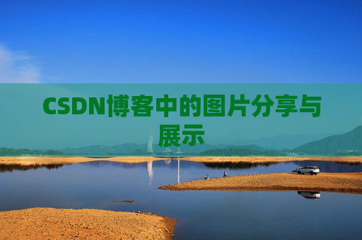 CSDN博客中的图片分享与展示